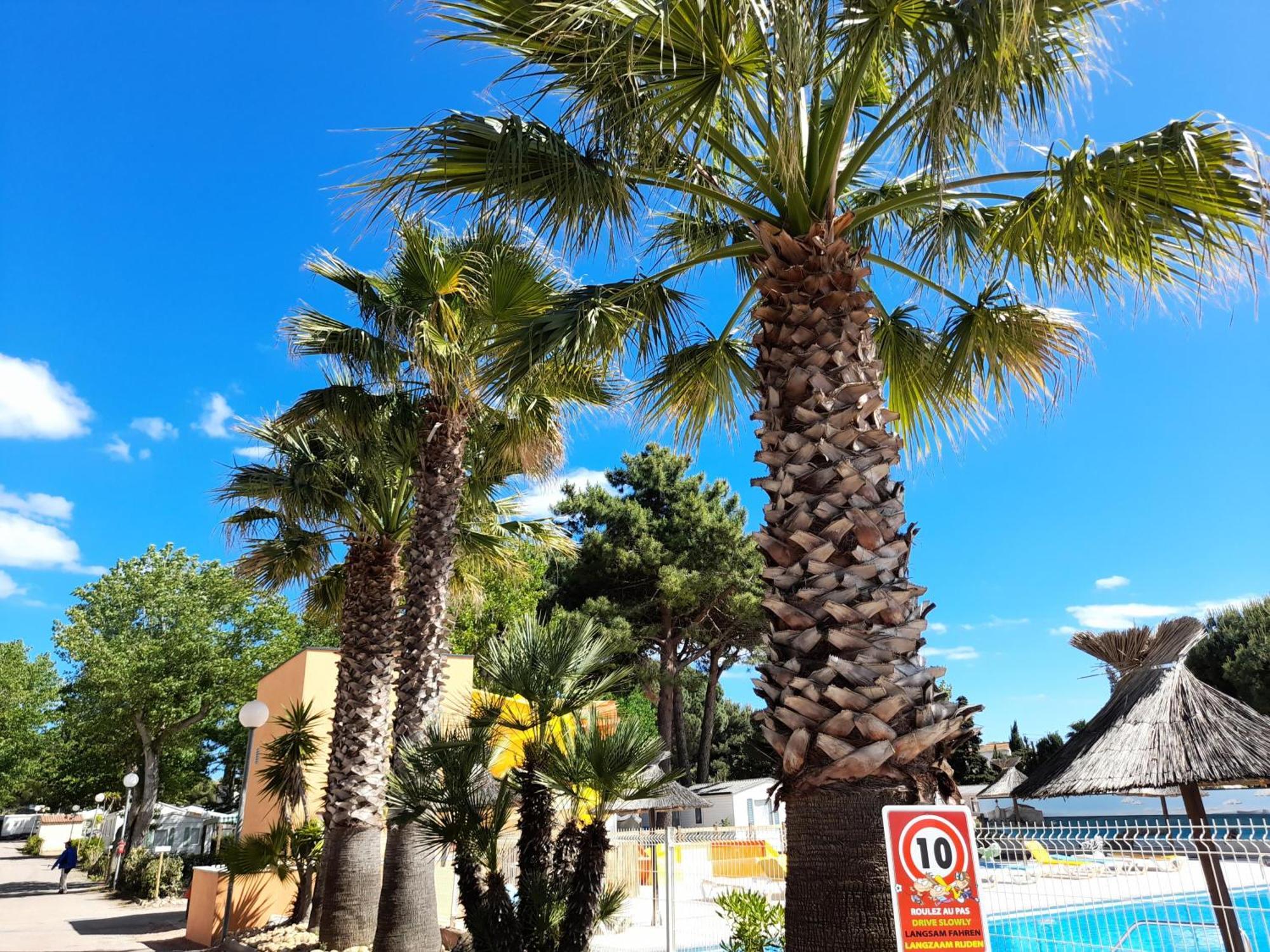 Camping Les Jardins D'Agathe - Maeva Le Grau-dʼAgde Extérieur photo